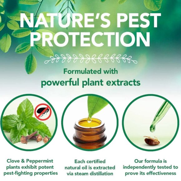 NEW✅Vet’s Best Flea and Tick Waterless Bath Foam for Cats 🐈 - Picture 5 of 6